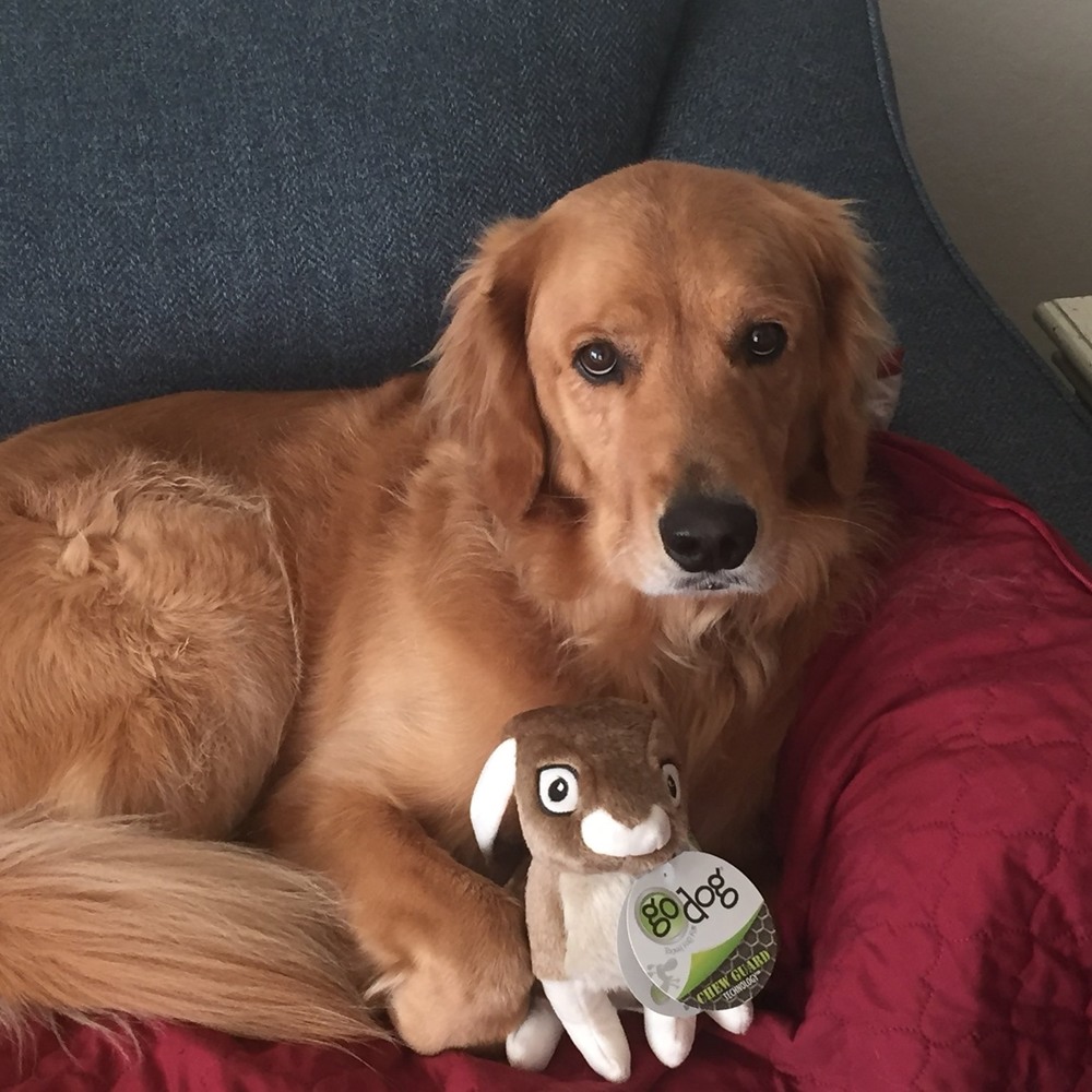 Meet your Posher, Jean